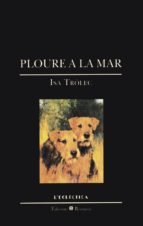 PLOURE A LA MAR