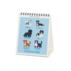 Imagen Secuandaria de CALENDARIO 2027 SOBREMESA DOGS OF THE WORLD LEGAMI. Abrir galería completa.