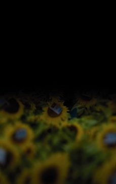 nada es imposible-xavier gabriel-9788492414987