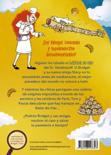 bridget vanderpuff 3. bridget vanderpuff y el gran robo aereo-martin stewart-9788408298397