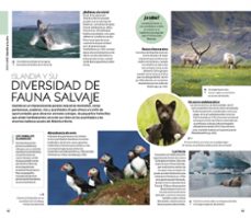 islandia 2025 (guías visuales)-9780241725702
