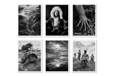 genesis postcard set- sebastiao salgado-9783836548014