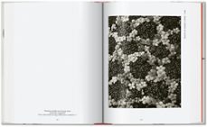 karl blossfeldt. the complete published work. 40th ed.-9783836598514
