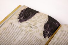 harry potter y la orden del fenix (ed. ilustrada harry potter 4)-j.k. rowling-9788418797415