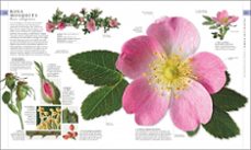 el libro de la naturaleza-9780241582923