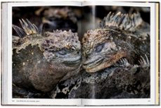 steve mccurry. animals-steve mccurry-9783836597036