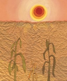 el niño que domo el viento (album ilustrado)-william kamkwamba-bryan mealer-9788417424138