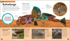 Imagen Secuandaria de L ERUGETA GOLAFRE: LA MEVA PRIMERA ENCICLOPEDIA D ANIMALS. Abrir galería completa.