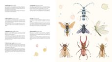 el gran libro de la fauna española-marialu gili-miquel puig riera-9788418817052