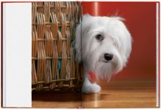 walter chandoha. dogs. photographs 1941-2013-reuel (ed.) golden-9783754400258