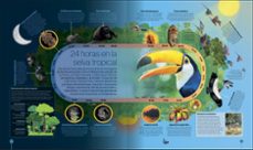 los ciclos de la naturaleza-9780241702963