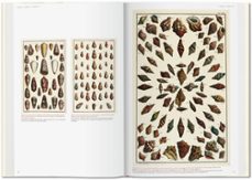 seba. cabinet of natural curiosities-albertus seba-9783836569064