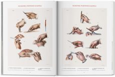 atlas of human anatomy and surgery-herni sick-jean marie le minor-9783836568982