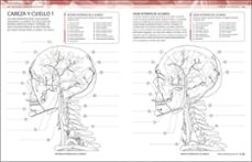 atlas de anatomía para colorear-9780241703090