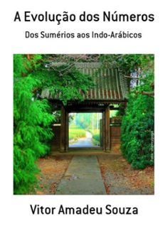 a evoluço dos numeros (ebook)-vitor amadeu souza-3410000483807