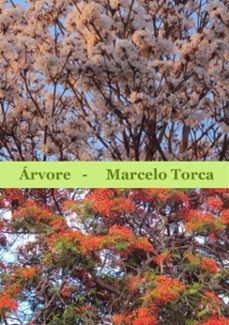 -marcelo torca-3410001251207