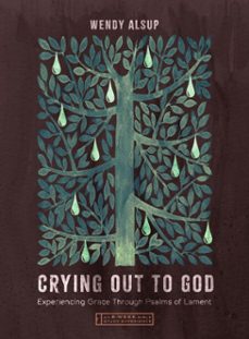 crying out to god (ebook)-wendy alsup-9781514010907