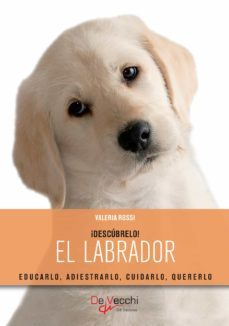el labrador (ebook)-valeria rossi-9781644618707