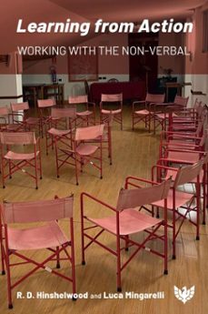 learning from action (ebook)-9781800130807