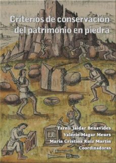 criterios de conservacion del patrimonio en piedra (ebook)-9786072634107