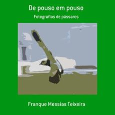 de pouso em pouso (ebook)-franque messias teixeira-9786590179807