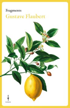 fragments gustave flaubert-gustave flaubert-9788409684007