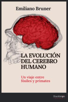 la evolución del cerebro humano (ebook)-emiliano bruner-9788413612607