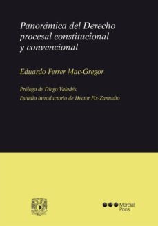 panorámica del derecho procesal constitucional y convencional-eduardo ferrer mac gregor-9788415664307