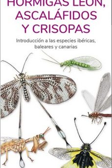 hormigas leon, ascalafidos y crisopas-victor j. hernandez-9788418458507