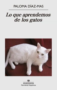 lo que aprendemos de los gatos-9788433997807