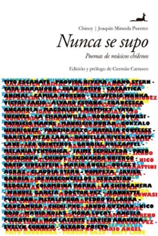 nunca se supo (ebook)-mauricio enrique (chinoy) castillo moya-joaquín andrés miranda puentes-9789563062007