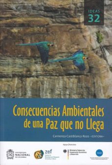 consecuencias ambientales de una paz que no llega (ebook)-carmenza castiblanco rozo-9789587946307
