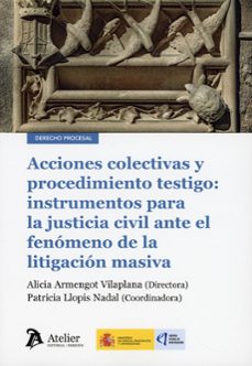 acciones colectivas y procedimiento testigo: instrumentos pa la j usticia civil ante el fenómeno de la litigación masiva-alicia armengot vilaplana-9791388250507