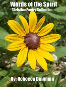 words of the spirit (ebook)-rebecca dingman-9798231275007