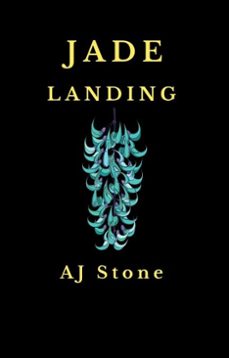 -aj stone-9798235624207