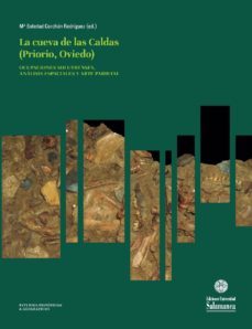 suelos de ocupacion de los nivles magdalenienses de la cueva de las caldas (ebook)-mª soledad corchon rodriguez corchon rodriguez-paula ortega martinez-eh0166p379407