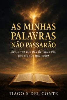 as minhas palavras no passaro (ebook)-tiago s. del conte-3410008383017