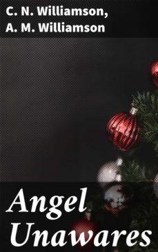 angel unawares (ebook)-c. n. williamson-a. m. williamson-4064066098117