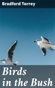 birds in the bush (ebook)-4064066223717