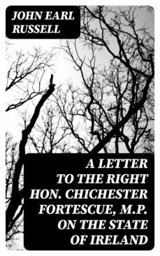 a letter to the right hon. chichester fortescue, m.p. on the state of ireland (ebook)-8596547315117