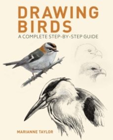 drawing birds-marianne taylor-9781398826717