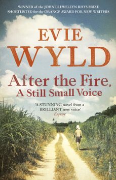 after the fire, a still small voice (ebook)-evie wyld-9781409079217