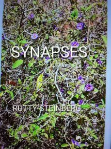 synapses (ebook)-9781667440217