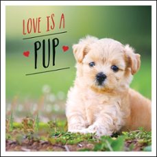 love is a pup (ebook)-charlie ellis-9781787838017