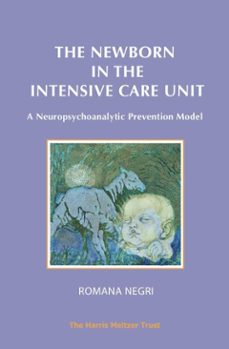 the newborn in the intensive care unit (ebook)-romana negri-9781912567317