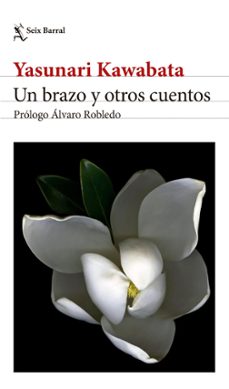 un brazo y otros cuentos. edicion 2024 (ebook)-9786316598417
