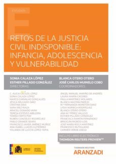retos de la justicia civil indispensable: infancia, adolescencia y vulnerabilidad-9788411245517