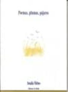 poemas plumas pajaros-amalia vilches-9788416980017