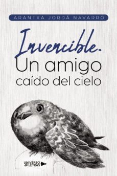 invencible. un amigo caido del cielo-arantxa jorda navarro-9788419613417
