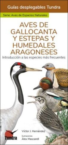 aves de gallocanta y estepas y humedales aragoneses - guias desplegables tundra-victor j. hernandez-9788419624017